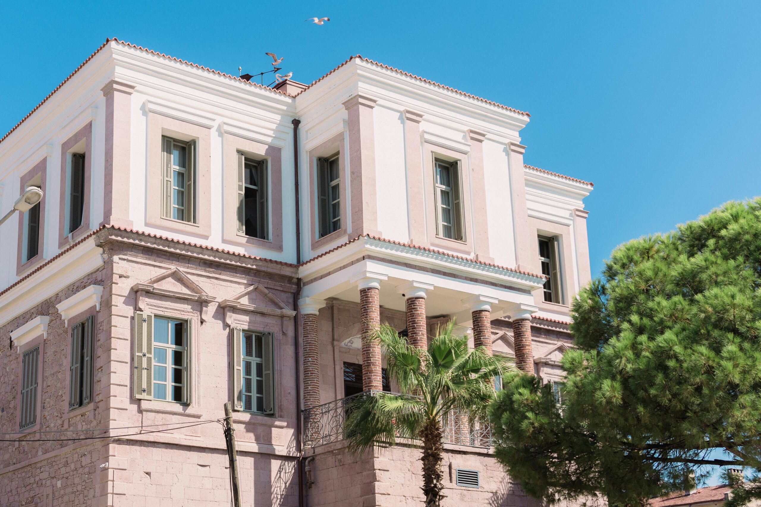 pexels-travelerchitect-19131475